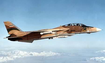 IRIAF F-14